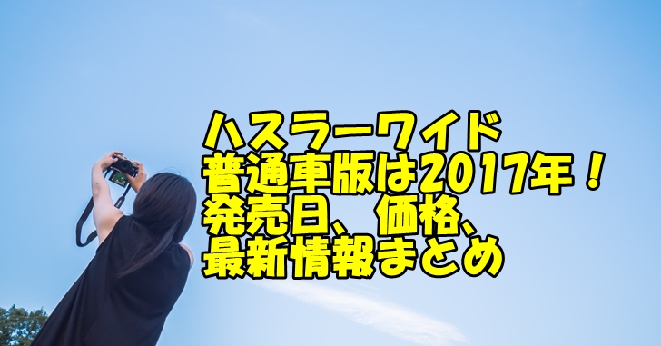 ハスラーワイド普通車版